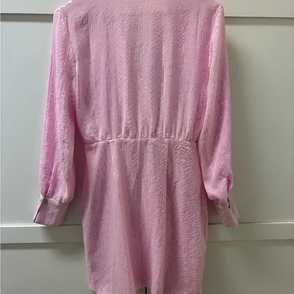 Steve Madden Light Pink Sequin Textured Dress - Picture 3 of 8